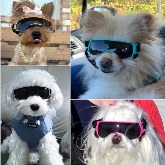✨BNWT - Dog/Cat/Rabbit Small Animal Breed Goggles
- Blue✨ - Picture 2 of 7